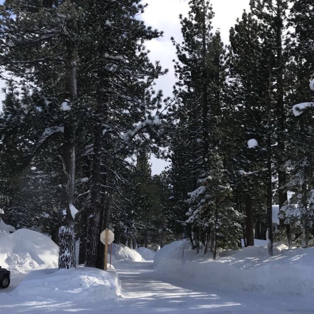 Meet your Posher, Autumn